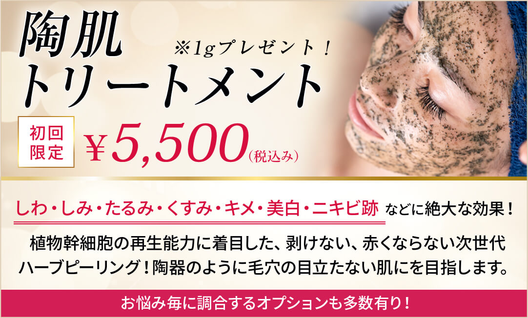 シワ・シミ・たるみ・くすみ・美白・ニキビ跡の肌質改善の陶肌トリートメント